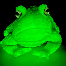 Load image into Gallery viewer, Sac à Mains Toad [GREEN/RED] [GLOW IN THE DARK]
