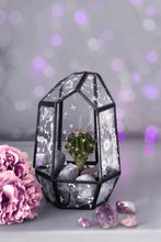 Load image into Gallery viewer, Terrarium Crystalline (I24)
